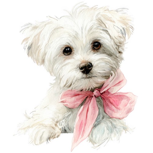 Adesivi cane maltese - maltese,