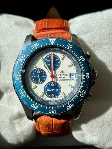 Citizen promaster wr100 - promaster,