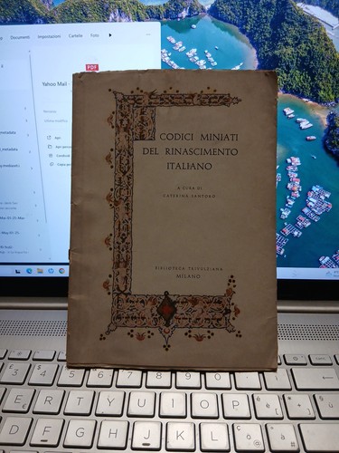 Codici miniati del