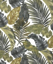 Foglie di palma giungla