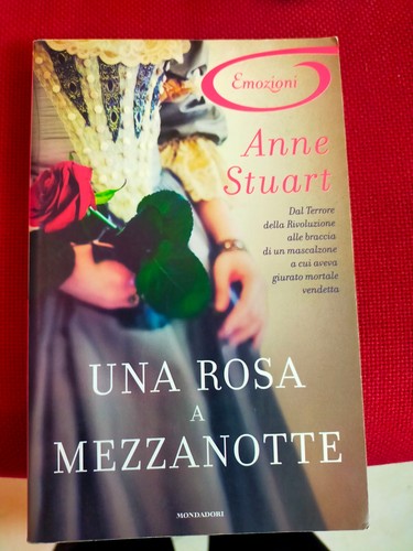Una rosa mezzanotte anne - rosa, a