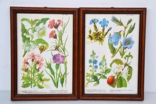 COPPIA DI VECCHIE TAVOLE CON FIORI,INCORNICIATE