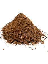 Torba bionda  acida di sfagno