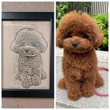 Quadri personalizzati gatto