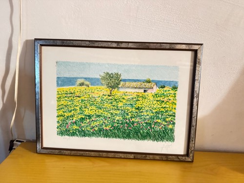 Franco azzinari serigrafia - franco,