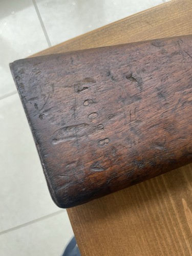 Stock steyr mannlicher 1886 - stock,