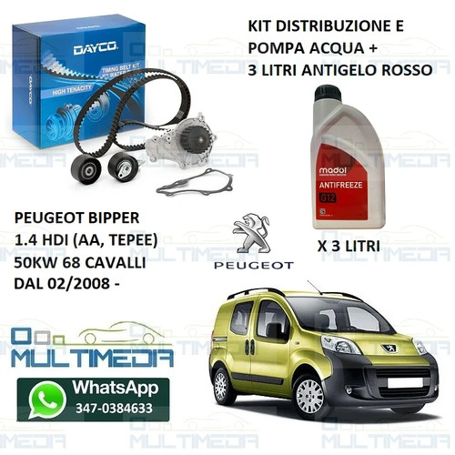Kit distribuzione pompa acqua - pompa,