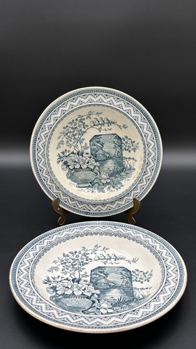 Coppia piatti fondi wedgwood - coppia,