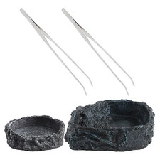 Ciotola cibo lucertola drago