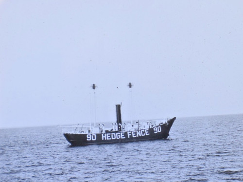 Recinzione siepe nave - siepe,