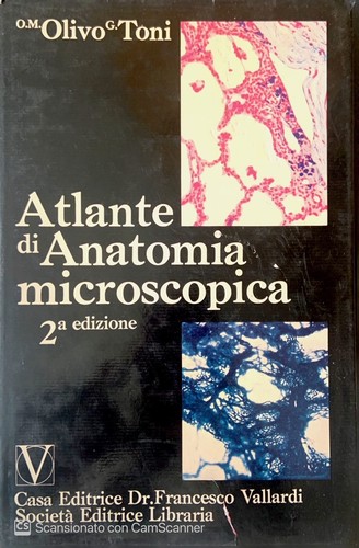 Atlante anatomia - atlante,