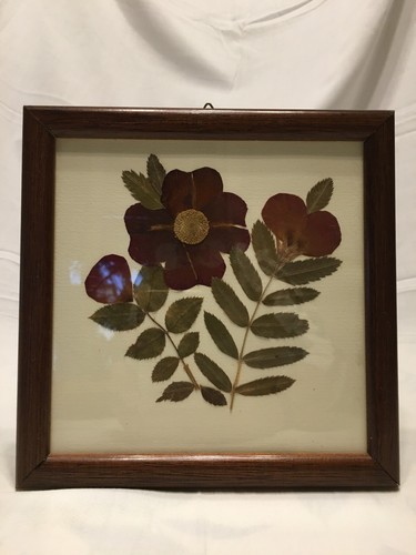 Quadro fiori secchi pressati - secchi,