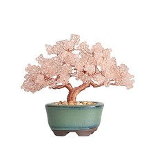 MIYUKI Nejitte BONSAI Kit di