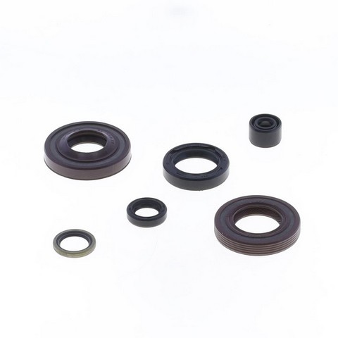 Kit paraoli motore fantic - motore, 2t