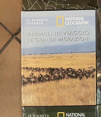 Animali viaggio grandi - animali, in