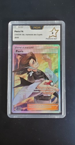 Carte pokémon pieris - carte,