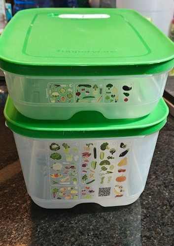 Tupperware fridgesmart custode - fridgesmart,