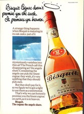 Vintage 1974 Advert for