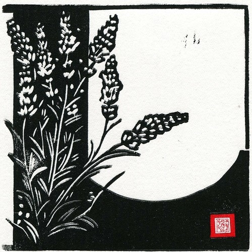 Kuprina l lavanda - -,