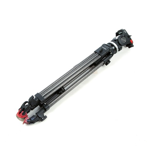 Testa gambe treppiede - gambe,