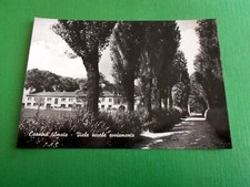 Cartolina Cassina Amata - Viale scuole avviamento 1963 ca