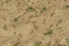 Barren Steppe: Wargaming /