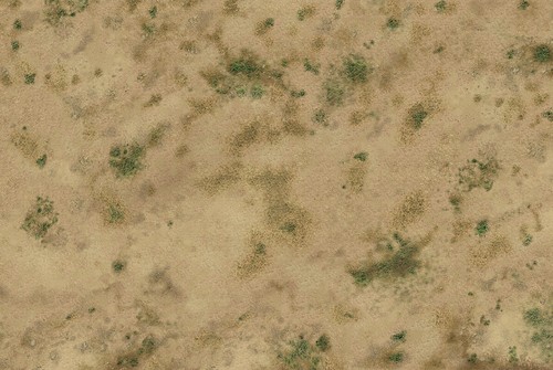 Barren steppe wargaming - wargaming, /
