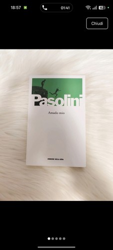 Amado mio pier paolo - mio, pasolini