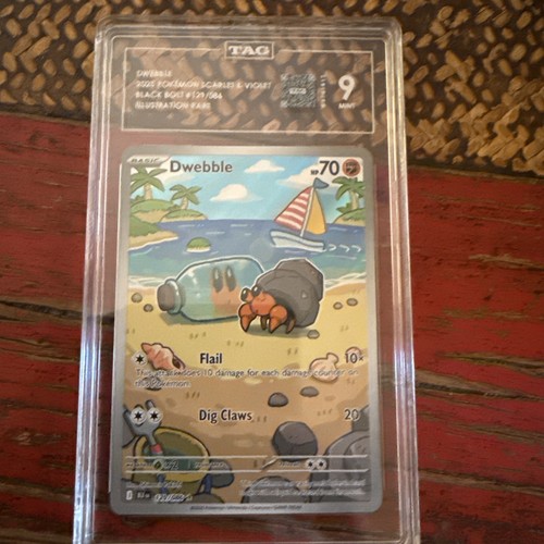 2025 pokemon nero - 2025, en-nero