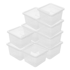  10 Pcs Teca Per Rettili