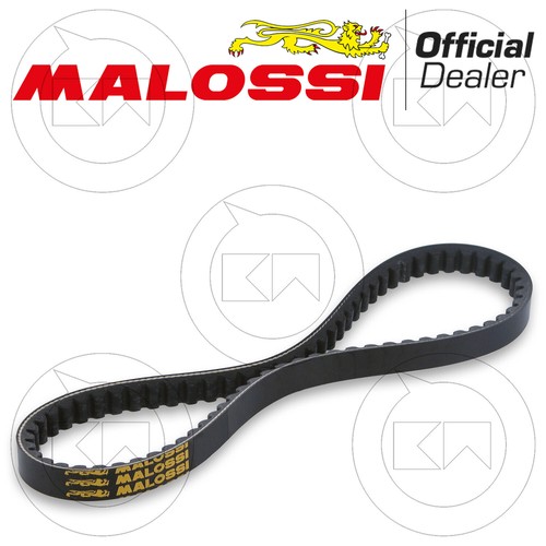 Malossi 617223 cinghia - malossi,