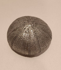 PRESSE PAPIER Fermacarte moderno: DERMASCHELETRO RICCIO DI MARE (ARTIFICIALE)