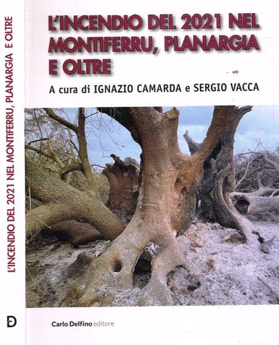 Incendio del 2021 nel - l'incendio,