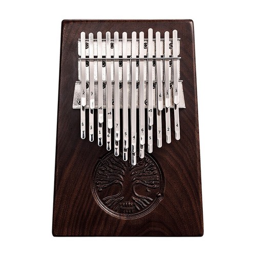 Pianoforte con pickup - con,