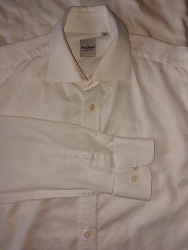 Camicia hardy amies cotone - camicia,