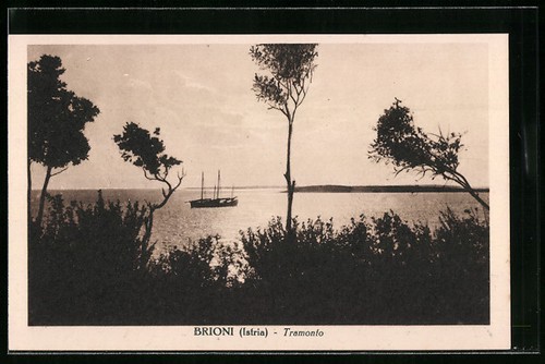Cartolina brioni istria - cartolina,