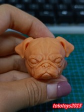 Carlino cucciolo cane - 1:12,