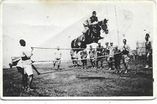 A.O.I. ASCARI, HORSE PHOTO
