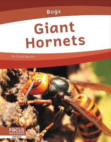 Giant hornets trudy becker - by,