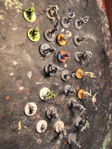 Lotto infinity corvus belli - lotto,