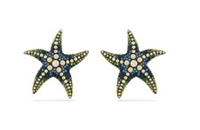 Swarovski 5684165 Orecchini a