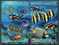 Blocco pubblicità Marshall