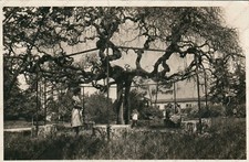 1951 verona reale educandato - 1951,