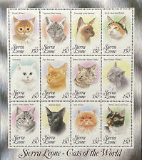 FRANCOBOLLI SIERRA LEONE GATTI