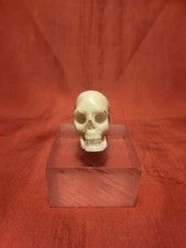 TESCHIO IN OSSO O CORNO 2 cm (