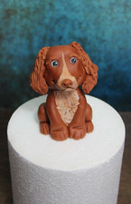 Cake topper commestibile per