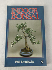 INDOOR BONSAI - PAUL