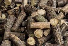 LEGNA DA ARDERE DI ROBINIA/ACACIA 100KG IN TRONCHETTI DA 30CM PER CAMINO, STUFA.