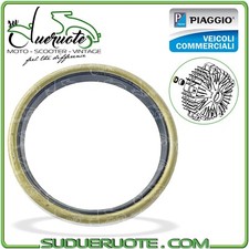 PARAOLIO TAMBURO FRENO