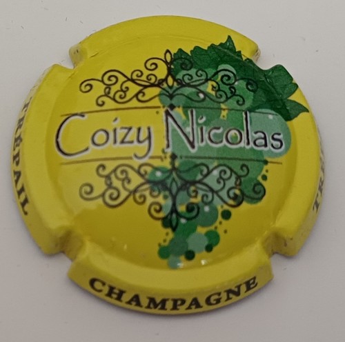 Jeroboam champagne coizy - champagne,